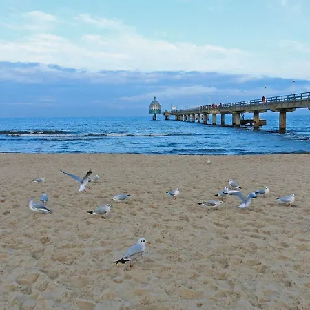 Glienbergweg 24b 3 Апартаменты *